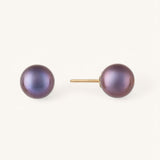 Black Pearl Akoya Studs with gold backs