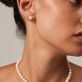 White Akoya Pearl Stud Earrings