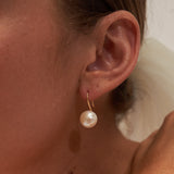 Large Pearl Drop Gold Hook earrings