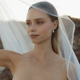 Crystal Pearl Drop Earrings