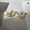 White Pearl Stud Earrings