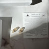 vWhite Pearl Stud Earrings