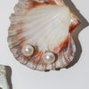 large white pearl stud earrings