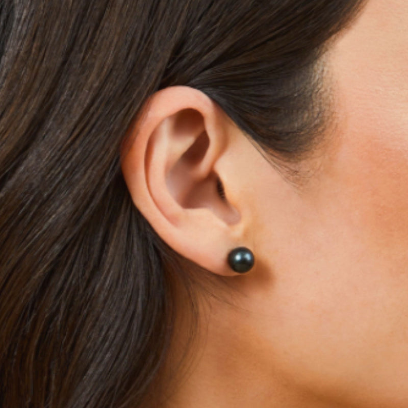 Small Black Pearl Studs with gold backs on model